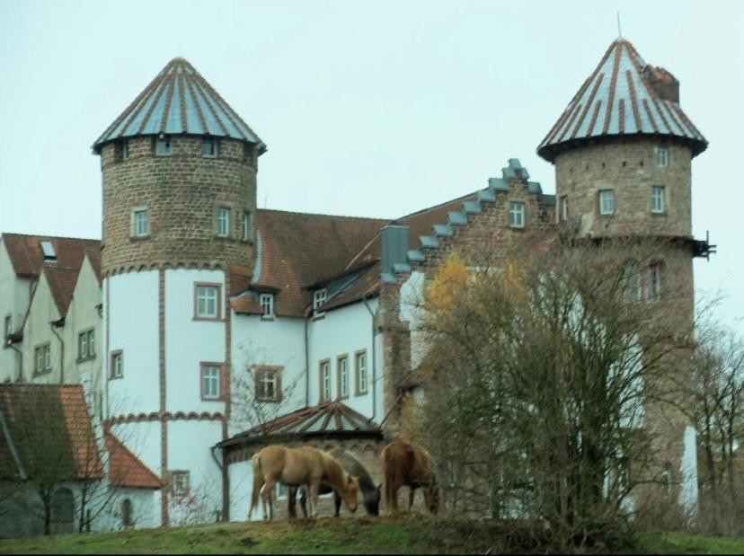 Luxus Appartement Im Schloss Fockelberg Bagian luar foto